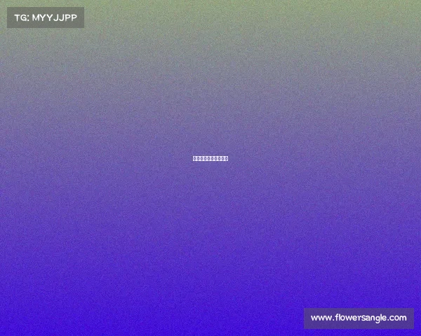 世界杯目前赛事有哪些