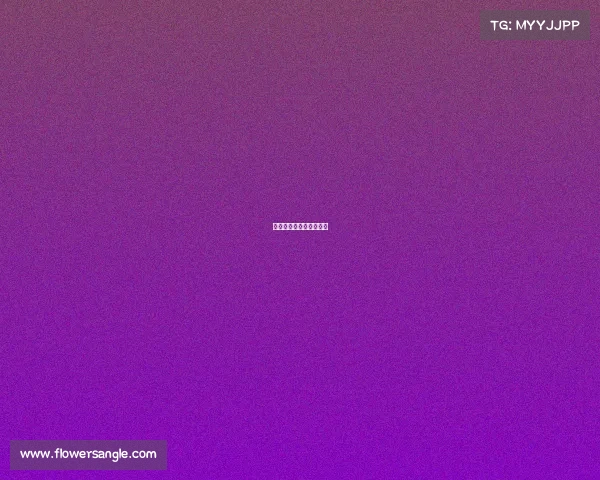 攀岩知名赛事、攀岩决赛